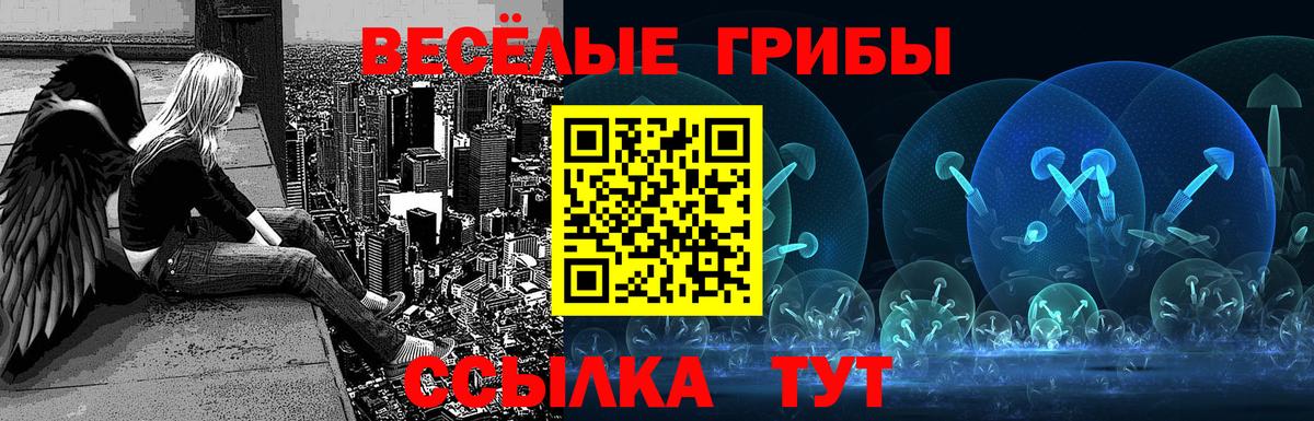 Псилоцибиновые грибы Psilocybine cubensis Петрозаводск